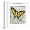 Yellow Butterfly-Alan Hopfensperger-Framed Art Print