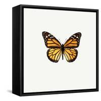 Yellow Butterfly-PhotoINC-Framed Stretched Canvas