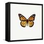 Yellow Butterfly-PhotoINC-Framed Stretched Canvas