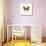 Yellow Butterfly-PhotoINC-Stretched Canvas displayed on a wall