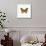 Yellow Butterfly-PhotoINC-Stretched Canvas displayed on a wall