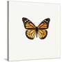 Yellow Butterfly-PhotoINC-Stretched Canvas