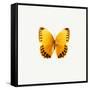 Yellow Butterfly-PhotoINC-Framed Stretched Canvas