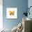 Yellow Butterfly-PhotoINC-Stretched Canvas displayed on a wall