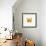 Yellow Butterfly-PhotoINC-Framed Premium Photographic Print displayed on a wall