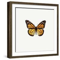 Yellow Butterfly-PhotoINC-Framed Photographic Print