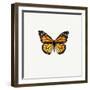 Yellow Butterfly-PhotoINC-Framed Photographic Print