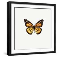 Yellow Butterfly-PhotoINC-Framed Photographic Print