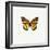 Yellow Butterfly-PhotoINC-Framed Photographic Print