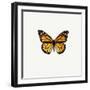 Yellow Butterfly-PhotoINC-Framed Photographic Print