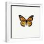 Yellow Butterfly-PhotoINC-Framed Photographic Print