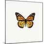 Yellow Butterfly-PhotoINC-Mounted Photographic Print