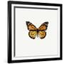 Yellow Butterfly-PhotoINC-Framed Photographic Print