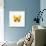 Yellow Butterfly-PhotoINC-Photographic Print displayed on a wall