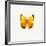 Yellow Butterfly-PhotoINC-Framed Photographic Print