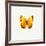 Yellow Butterfly-PhotoINC-Framed Photographic Print