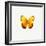 Yellow Butterfly-PhotoINC-Framed Photographic Print