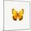 Yellow Butterfly-PhotoINC-Mounted Photographic Print