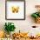 Yellow Butterfly-PhotoINC-Framed Photographic Print displayed on a wall