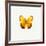 Yellow Butterfly-PhotoINC-Framed Photographic Print