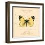 Yellow Butterfly-Artique Studio-Framed Art Print