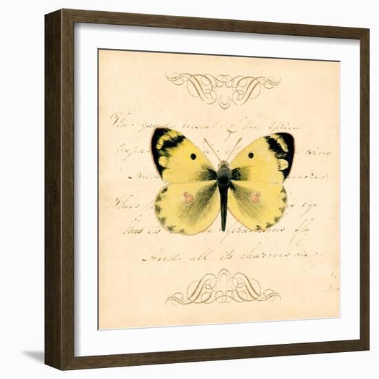 Yellow Butterfly-Artique Studio-Framed Art Print