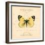 Yellow Butterfly-Artique Studio-Framed Art Print