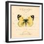 Yellow Butterfly-Artique Studio-Framed Art Print