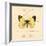 Yellow Butterfly-Artique Studio-Framed Art Print