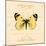 Yellow Butterfly-Artique Studio-Mounted Art Print
