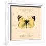 Yellow Butterfly-Artique Studio-Framed Art Print