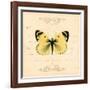 Yellow Butterfly-Artique Studio-Framed Art Print