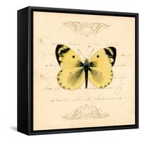 Yellow Butterfly-Artique Studio-Framed Stretched Canvas