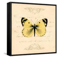 Yellow Butterfly-Artique Studio-Framed Stretched Canvas