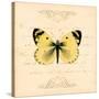 Yellow Butterfly-Artique Studio-Stretched Canvas