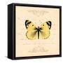 Yellow Butterfly-Artique Studio-Framed Stretched Canvas