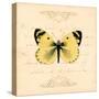 Yellow Butterfly-Artique Studio-Stretched Canvas