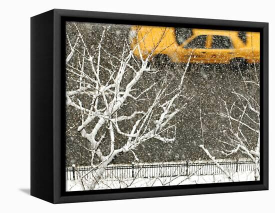 Yellow cab on Park Avenue in a snowstorm-Bo Zaunders-Framed Stretched Canvas