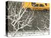 Yellow cab on Park Avenue in a snowstorm-Bo Zaunders-Stretched Canvas