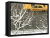 Yellow cab on Park Avenue in a snowstorm-Bo Zaunders-Framed Stretched Canvas