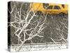 Yellow cab on Park Avenue in a snowstorm-Bo Zaunders-Stretched Canvas