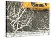 Yellow cab on Park Avenue in a snowstorm-Bo Zaunders-Stretched Canvas