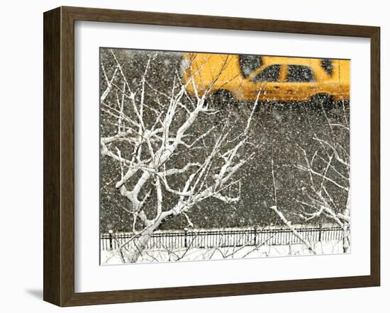 Yellow cab on Park Avenue in a snowstorm-Bo Zaunders-Framed Premium Photographic Print