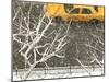 Yellow cab on Park Avenue in a snowstorm-Bo Zaunders-Mounted Premium Photographic Print