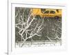 Yellow cab on Park Avenue in a snowstorm-Bo Zaunders-Framed Photographic Print