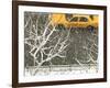 Yellow cab on Park Avenue in a snowstorm-Bo Zaunders-Framed Photographic Print