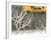 Yellow cab on Park Avenue in a snowstorm-Bo Zaunders-Framed Photographic Print