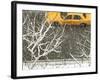 Yellow cab on Park Avenue in a snowstorm-Bo Zaunders-Framed Photographic Print