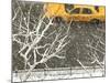 Yellow cab on Park Avenue in a snowstorm-Bo Zaunders-Mounted Photographic Print