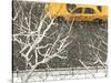 Yellow cab on Park Avenue in a snowstorm-Bo Zaunders-Stretched Canvas